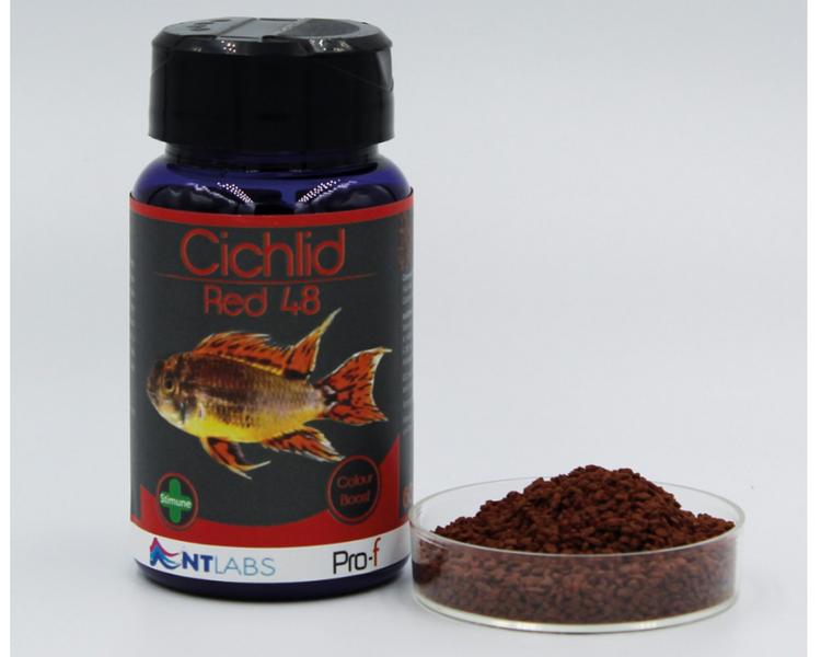 NT Labs Pro-f Cichlid Red - Colour Enhance Sinking Pellet - 35g
